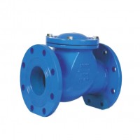 Check valve