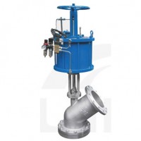 Globe valve