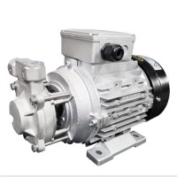 Combustion oil pump made in China LP series high pressure vortex pump